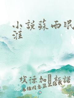 小说苏雨眠江易淮