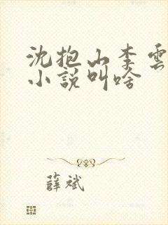 沈抱山李云舒的小说叫啥