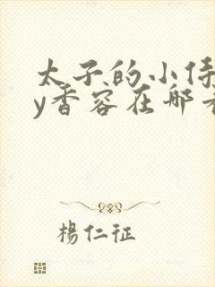 太子的小侍妾by香容在哪看完整版
