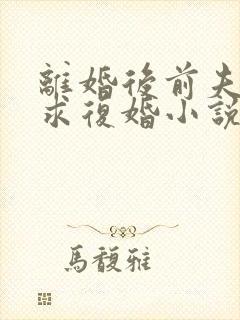 离婚后前夫哭着求复婚小说免费阅读