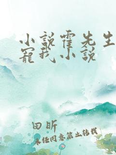 小说霍先生乖乖宠我小说