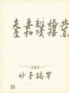 夫妻离婚共同财产和债务怎么分割