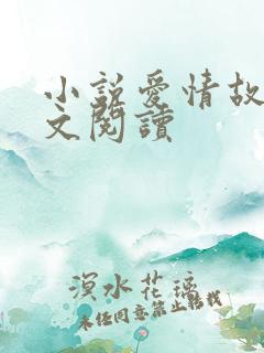 小说爱情故事全文阅读