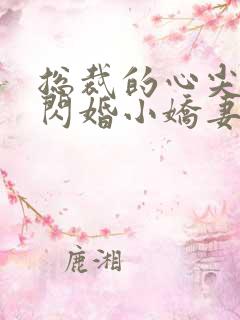 总裁的心尖宠是闪婚小娇妻