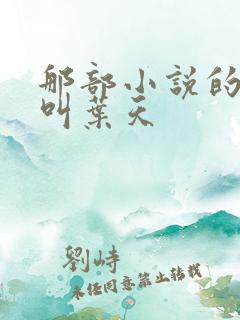那部小说的主角叫叶天