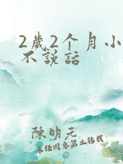 2岁2个月小孩不说话