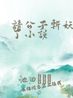请公子斩妖裴不了小说
