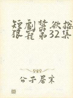 短剧禁欲总裁狠狠宠第32集