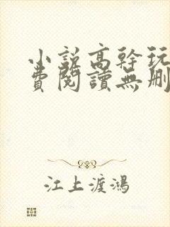 小说高干玩物免费阅读无删减版