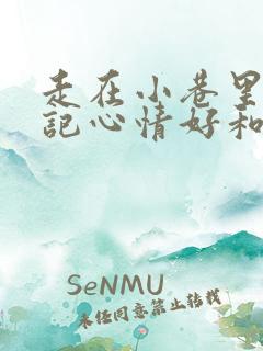 走在小巷里的日记心情好和不好