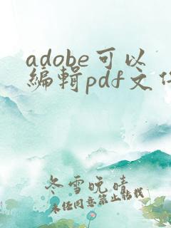 adobe可以编辑pdf文件吗