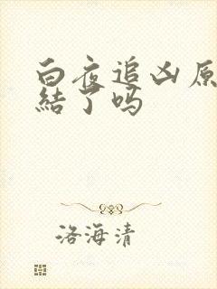 白夜追凶原著完结了吗