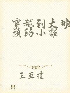 穿越到大明当崇祯的小说