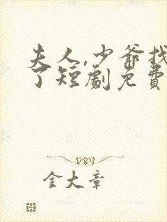 夫人,少爷找到了短剧免费观看