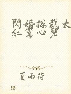 闪婚总裁太霸道红鸾心儿