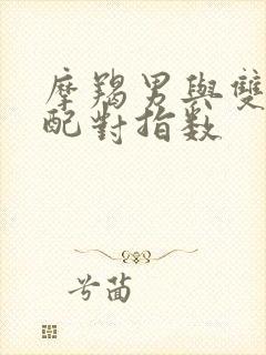 摩羯男与双子女配对指数