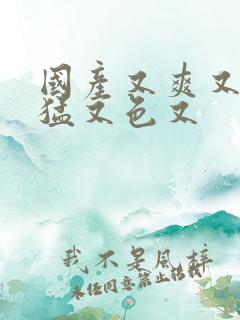 国产又爽又粗又猛又色又