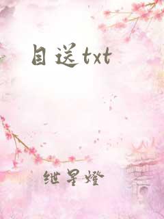 目送txt