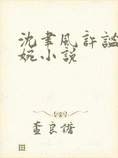 沈聿风许谧宋星婉小说