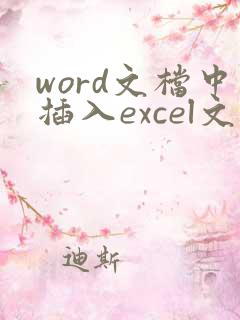 word文档中插入excel文件