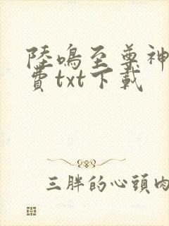 陆鸣至尊神殿免费txt下载