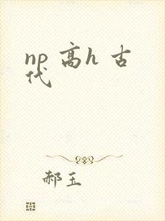 np 高h 古代