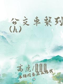 公交车系列小说(h)