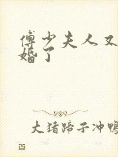 傅少夫人又闹离婚了