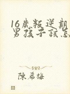 16岁叛逆期的男孩子该怎样去沟通教育