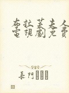 布拉芙夫人韩剧电视剧免费观看大全