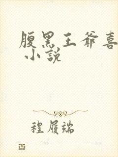 腹黑王爷喜当爹 小说