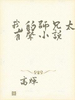 我的师兄太稳健有声小说