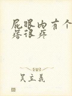 屁眼内有个硬疙瘩很疼