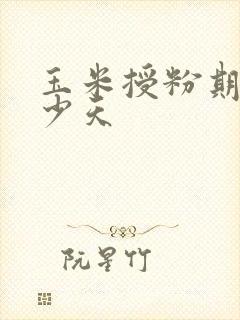 玉米授粉期是多少天