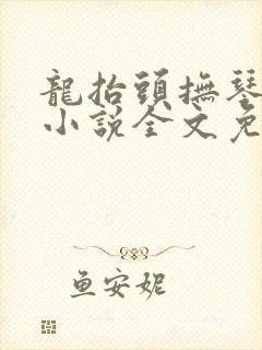 龙抬头抚琴的人小说全文免费阅读