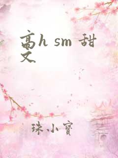 高h sm 甜文