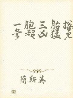 一胞三胎总裁爹爹超凶猛免费