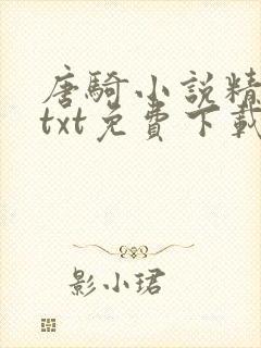 唐骑小说精校版txt免费下载