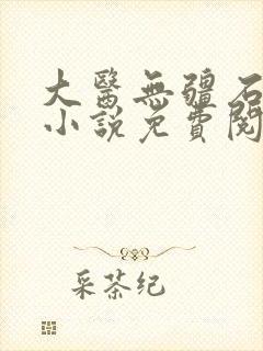 大医无疆石章鱼小说免费阅读