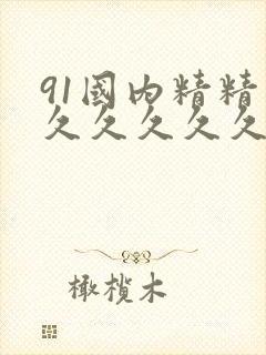 91国内精精品久久久久久婷婷