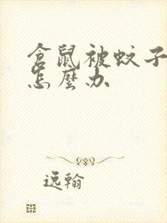 仓鼠被蚊子咬了怎么办