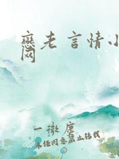 恋老 言情小说网