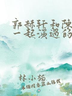郭赫轩和陈芷琰一起演过的电视剧