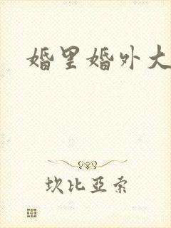 婚里婚外大结局