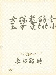 女总裁的全能兵王萧晨txt小说下载