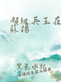 超级兵王在都市苏扬