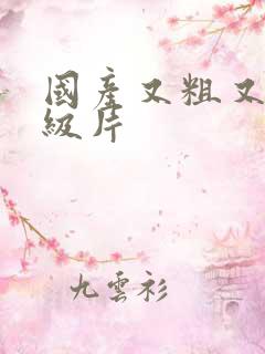 国产又粗又黄一级片