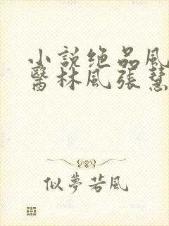 小说绝品风流狂医林风张慧免费阅读