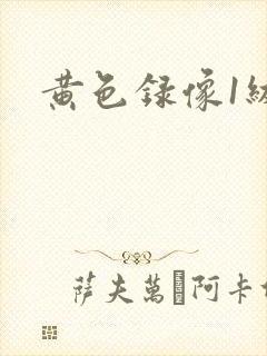 黄色录像1级片