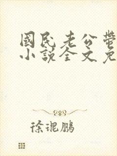 国民老公带回家小说全文免费